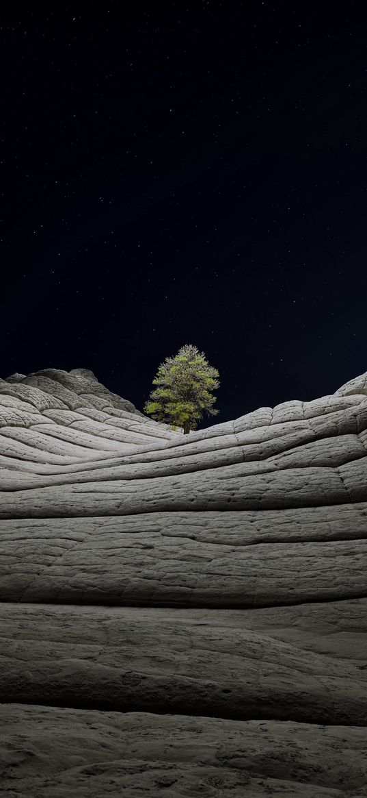 rocks, tree, sky, night