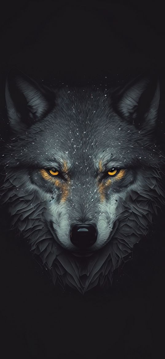 wolf, head, predator, animal, black background, art