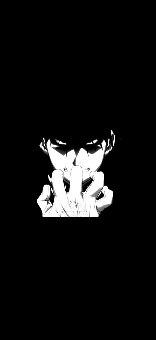 roy mustang, fullmetal alchemist, anime, black