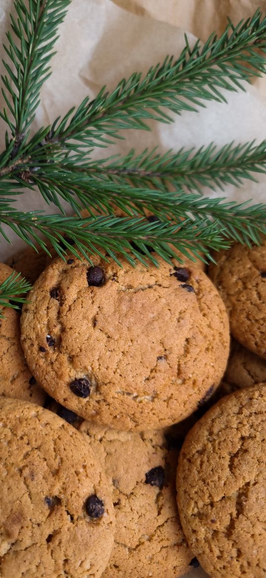 cookies, food, oatmeal, cooking, needles