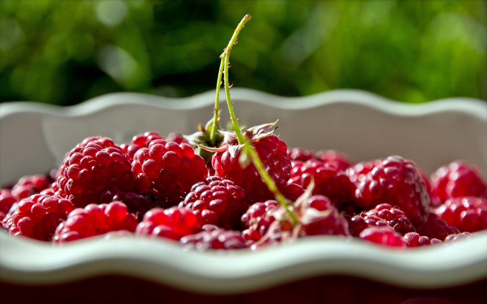 malin, plates, shadow, berries