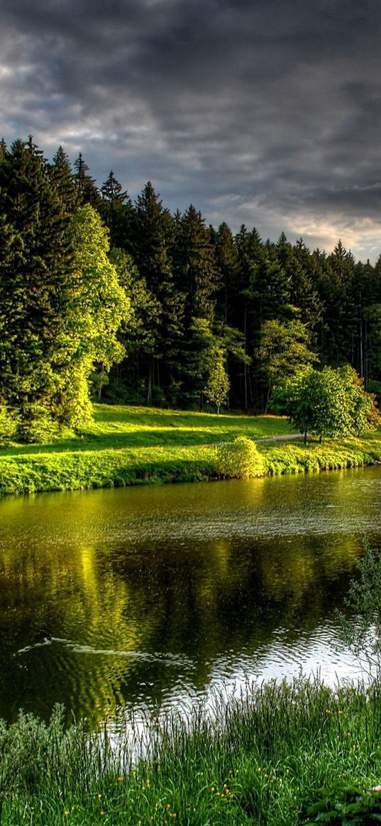 river, coast, grass, bench, summer, beautiful, calm