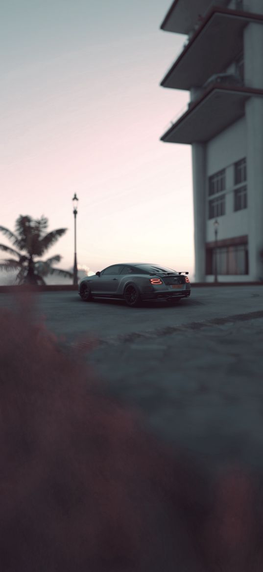 car, bentley, house, palm tree, street, dark