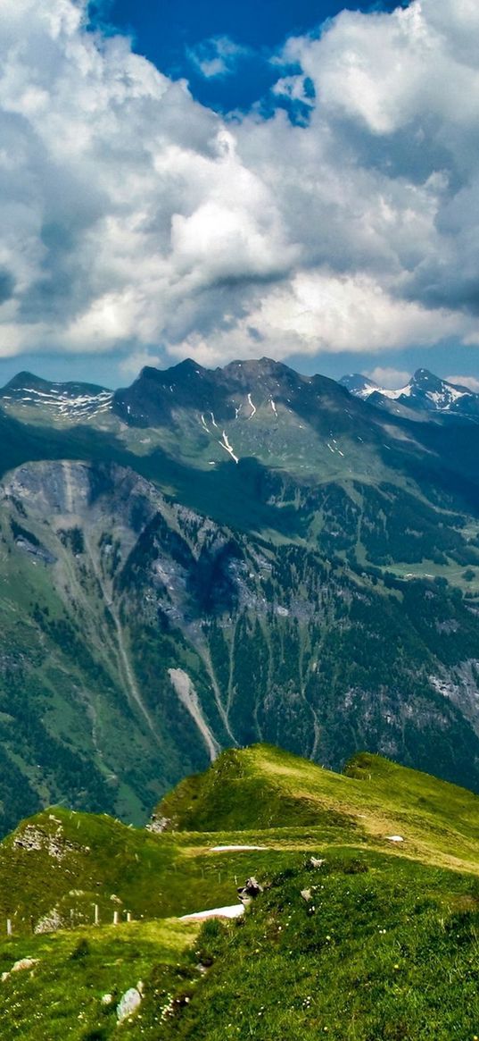 mountains, grass, nice, kind, freedom