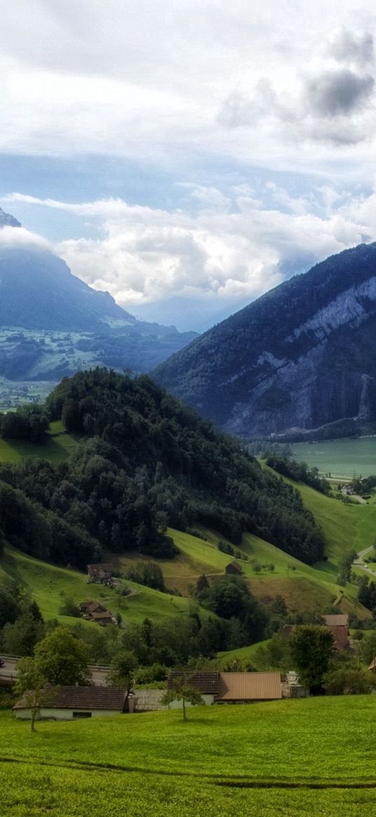 mountains, grass, top, piedmont