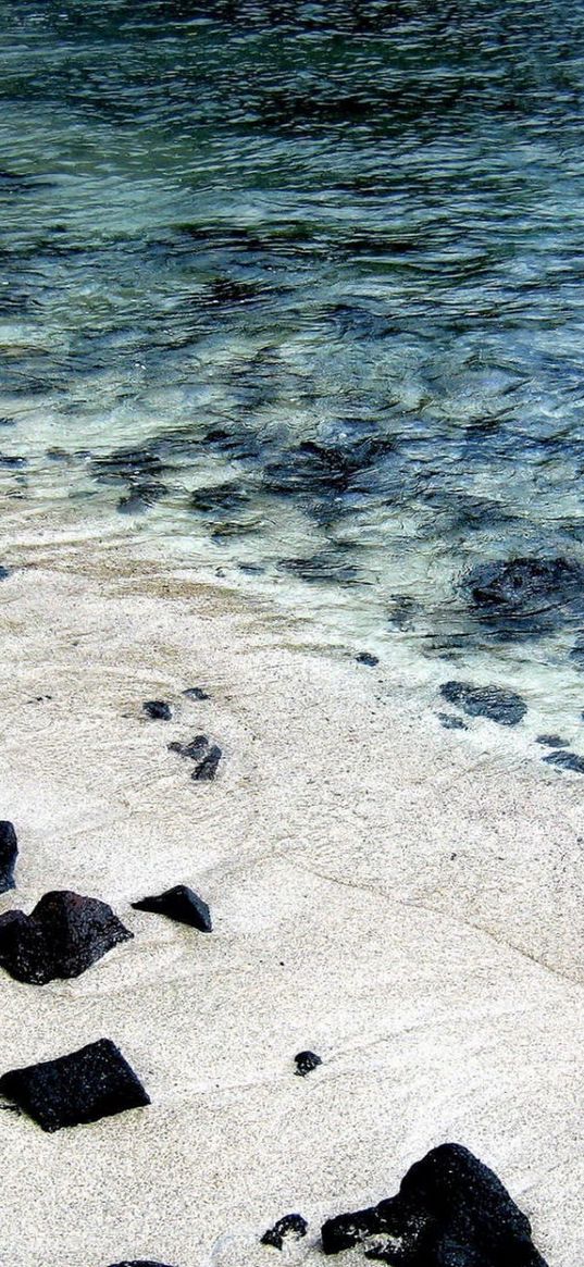 shore, stones, summer, river