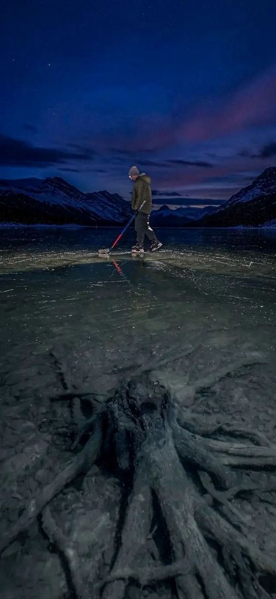 root, alone, lake, hills, clouds, blue sky