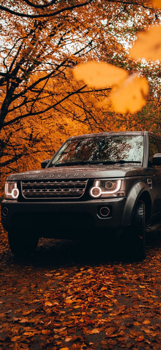 car, discovery, grey, land rover