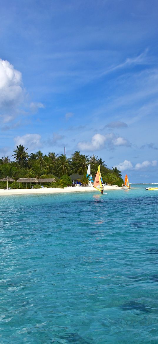 maldives, beach, tropical, sea, sand, palm trees, island