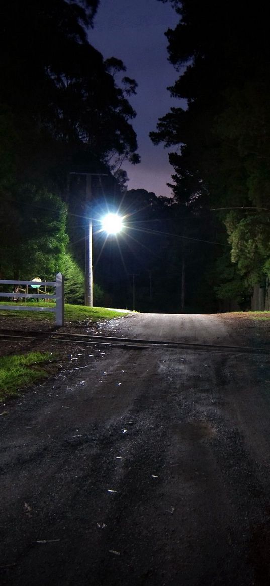 night, crossing, signs, road