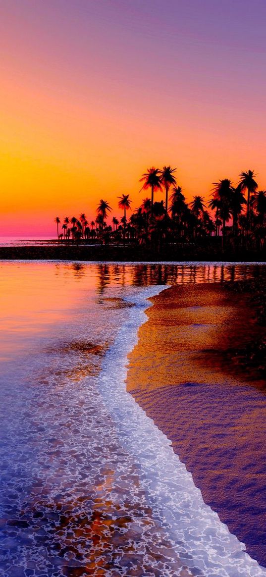 beach, tropics, sea, sand, palm trees, sunset