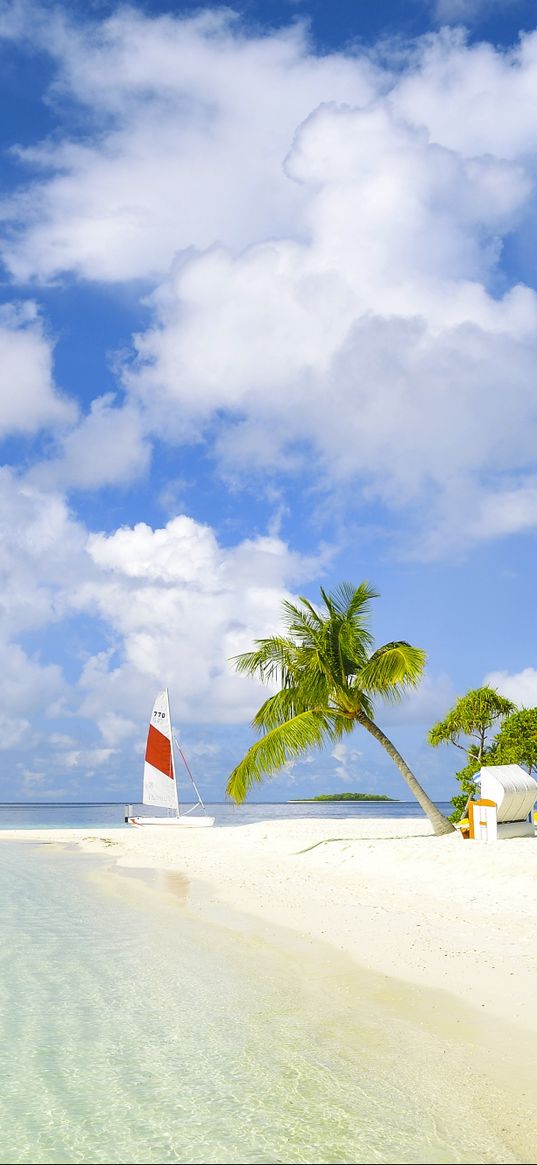 beach, tropics, sea, sand, palm trees, yacht