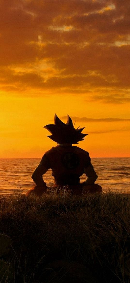 goku, dragon ball z, sunset, sun, cluds, anime