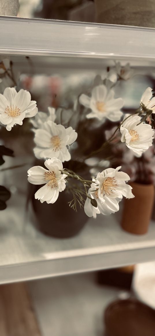 store, day, flowers