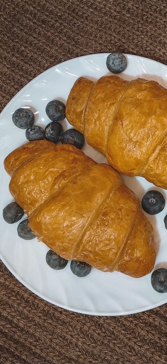 croissants, croissant, breakfast, morning, food, blueberries, aesthetics