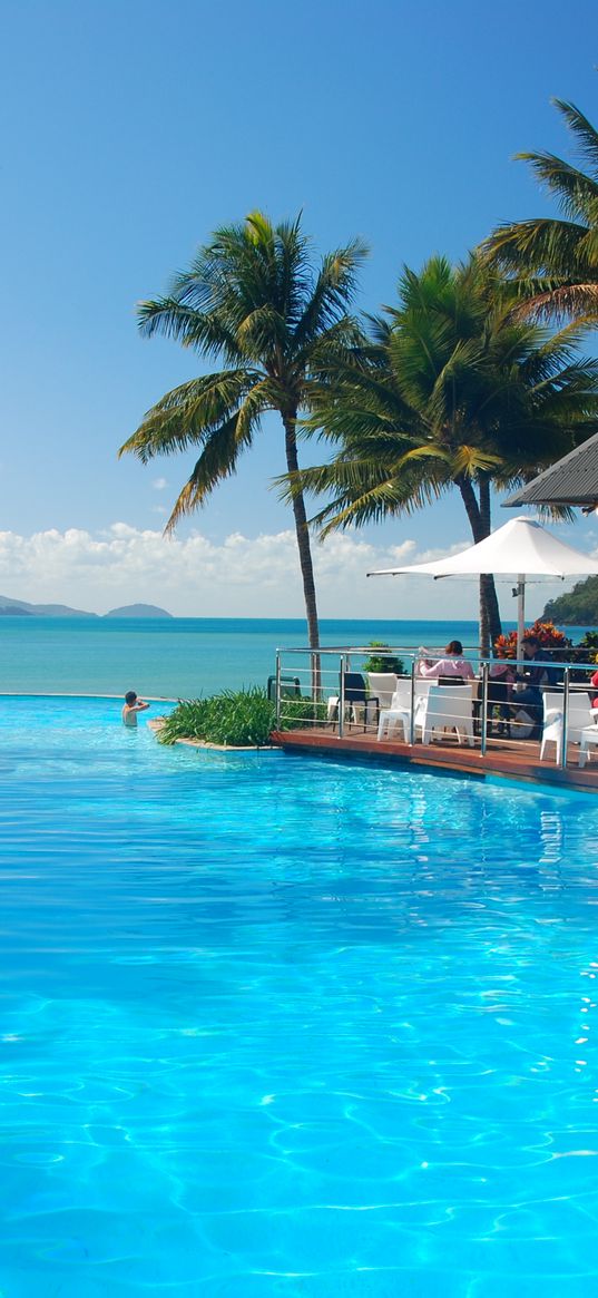 tropics, sea, palm trees, swimming pool