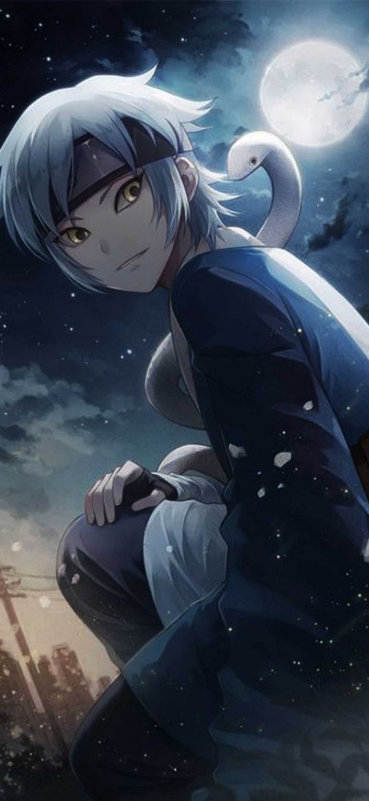 mitsuki, naruto, anime, guy, ninja, snake, moon, night, art