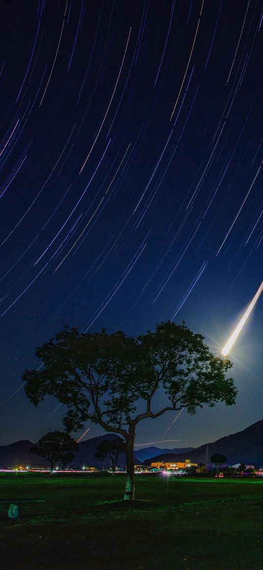 tree, field, city, lights, mountains, comets, starfall, stars, night, landscape, nature