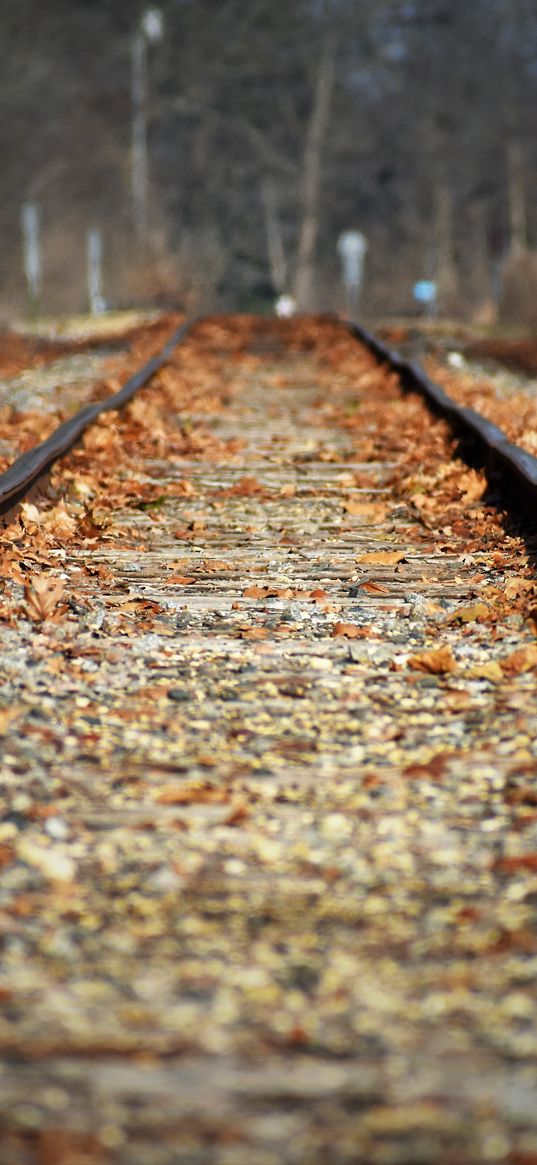 railroad, leaves, autumn, blur