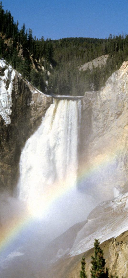 yellowstone national park, wyoming, falls, stones, rainbow, vegetation