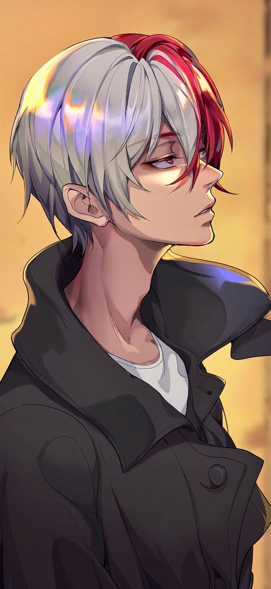 shoto todoroki, my hero academia, anime, guy, coat, art