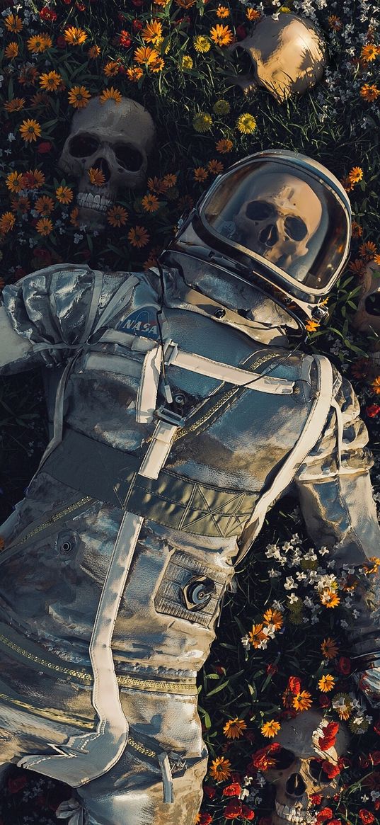 cosmonaut, spacesuit, skeleton, skulls, flowers, field, digital art