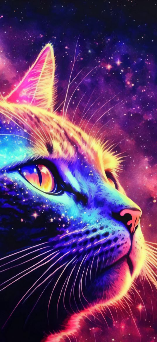 cat, stars, space, bright, colorful, art