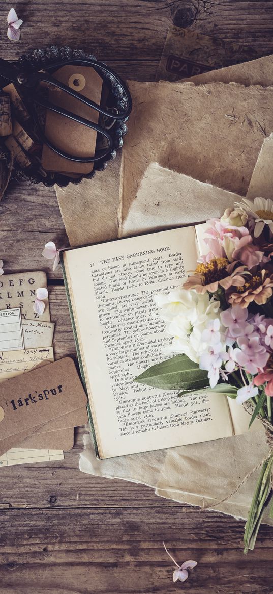 book, flowers, petals, paper, aesthetics