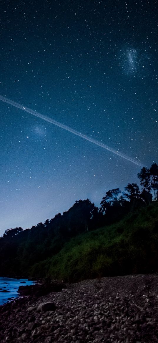 island, shore, river, trees, starry sky, magellanic cloud, night, nature, landscape