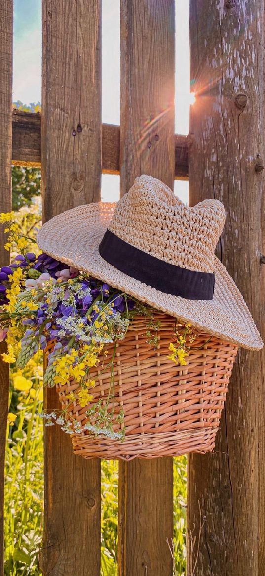 hat, basket, fence, flowers, summer