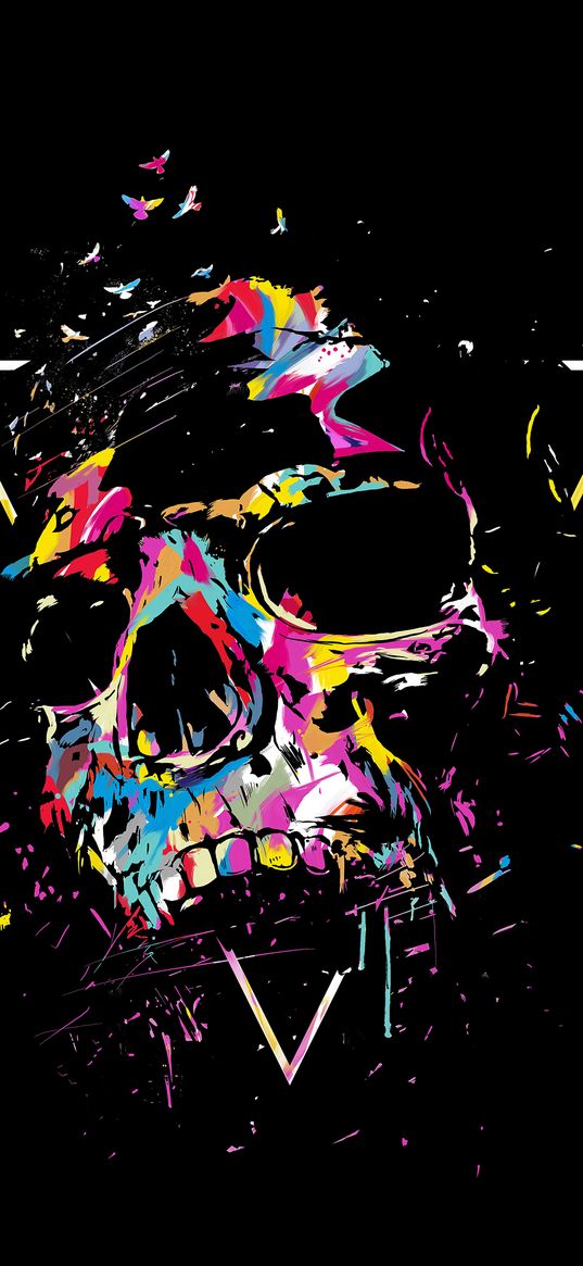 skull, geometry, multicolored, black background, art