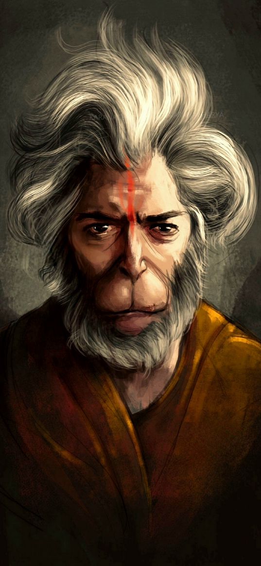 hanuman, deity, hinduism, portrait, art