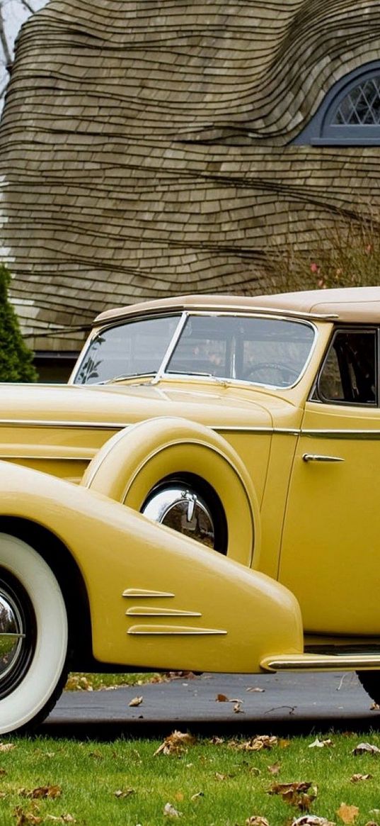 vintage car, yellow, beautiful, nature