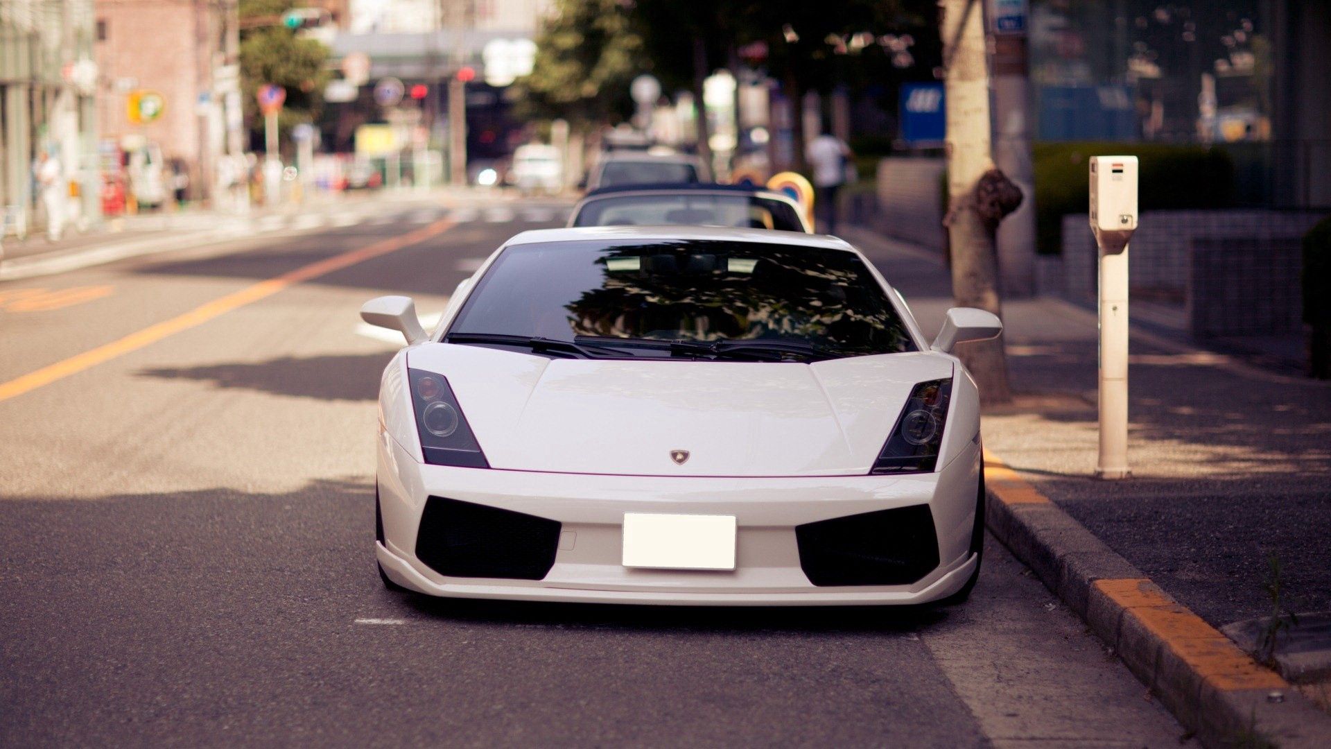 auto, white, sports car, lamborghini