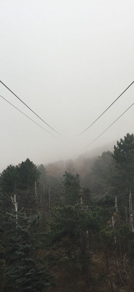 mountain, trees, pyatigorsk, fog