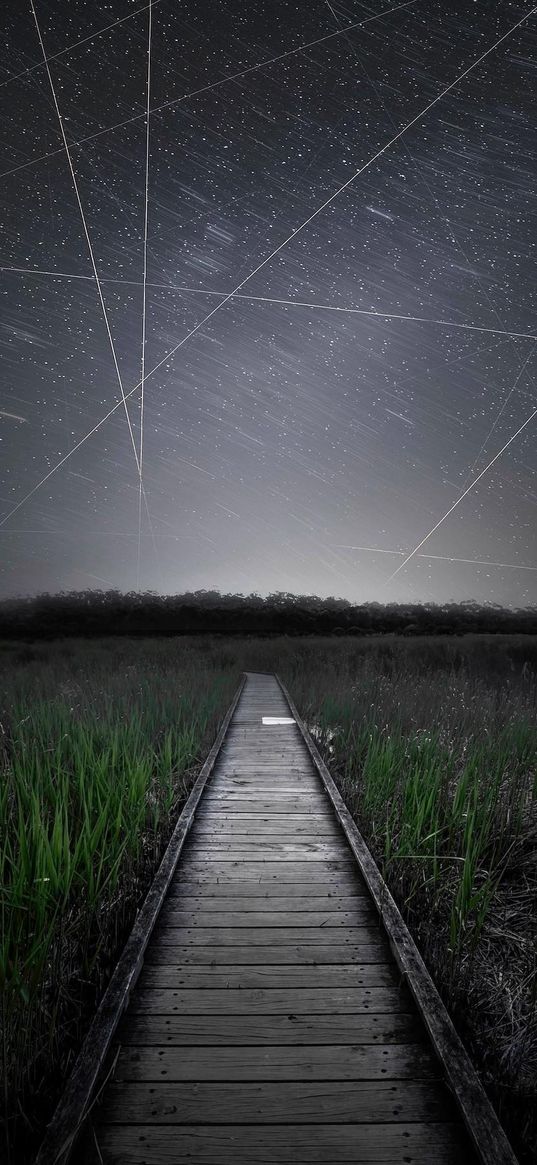 path, grass, field, forest, comets, starry sky, stars, night, nature