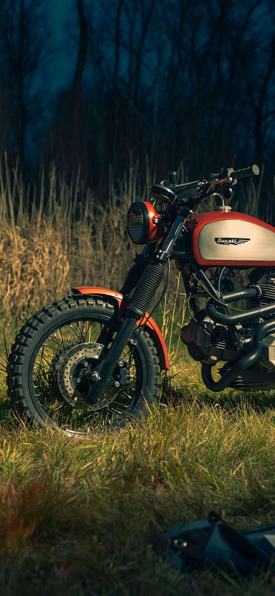 ducati scrambler, ducati, motorcycle, red, nature