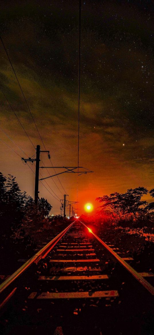 railway, savannah, trees, electric pole, cloudy sky, night