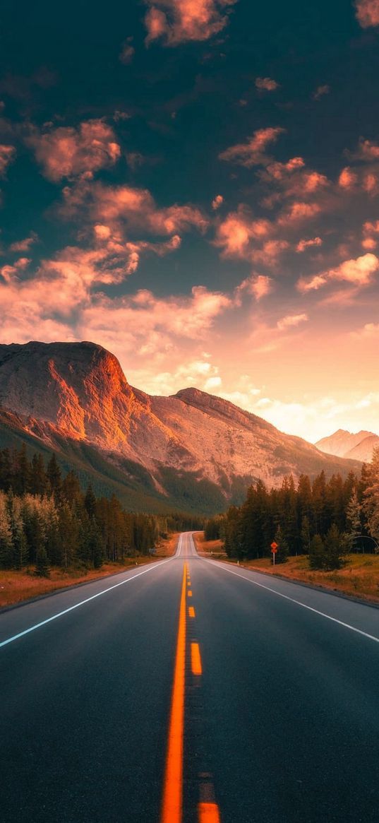 road, trees, savannah, hills, forest, sunset, cloudy sky, nature, landscape