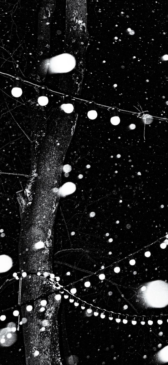 garlands, tree, park, snow, winter, night