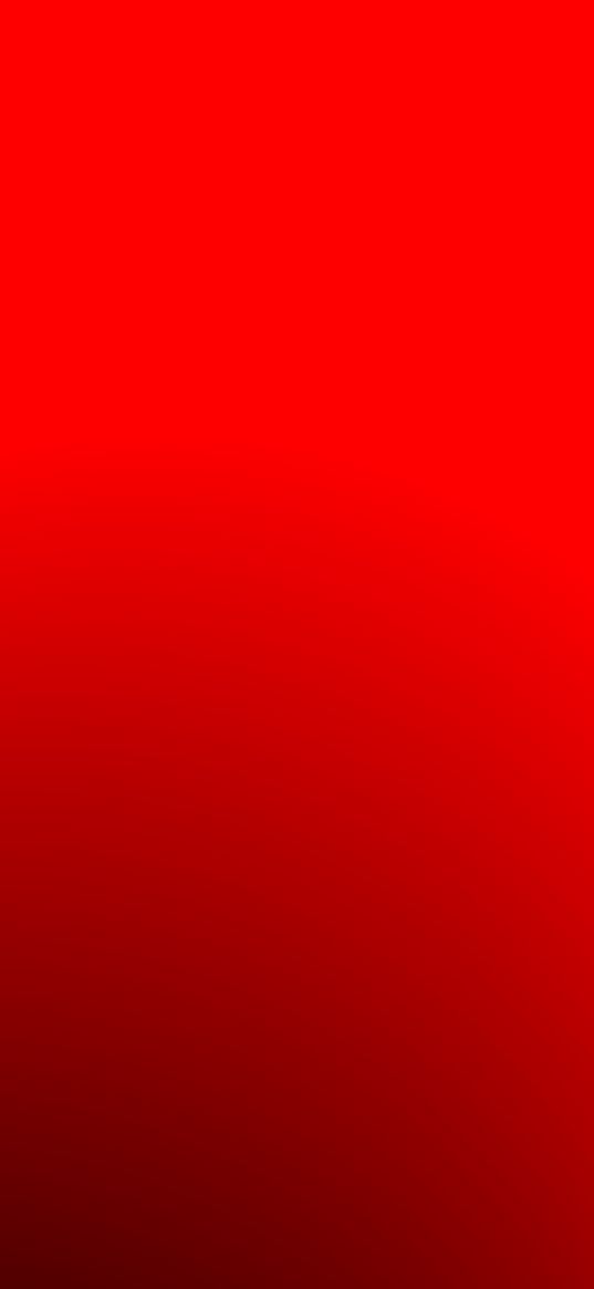 red background, shades, minimalism