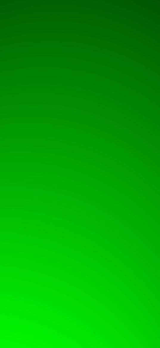 green background, shades, minimalism