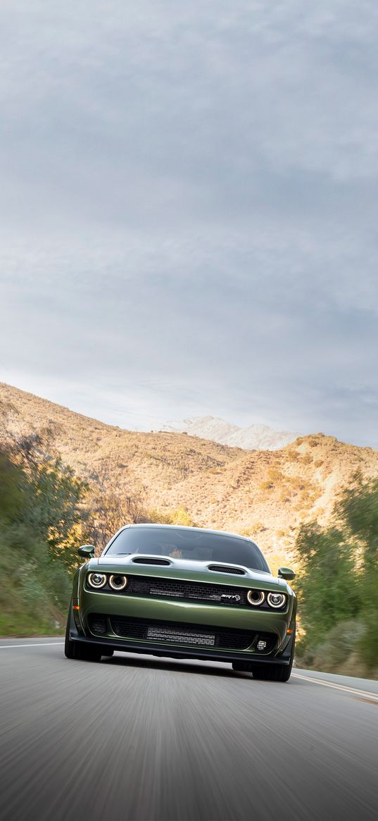 car, sport car, dark green, road