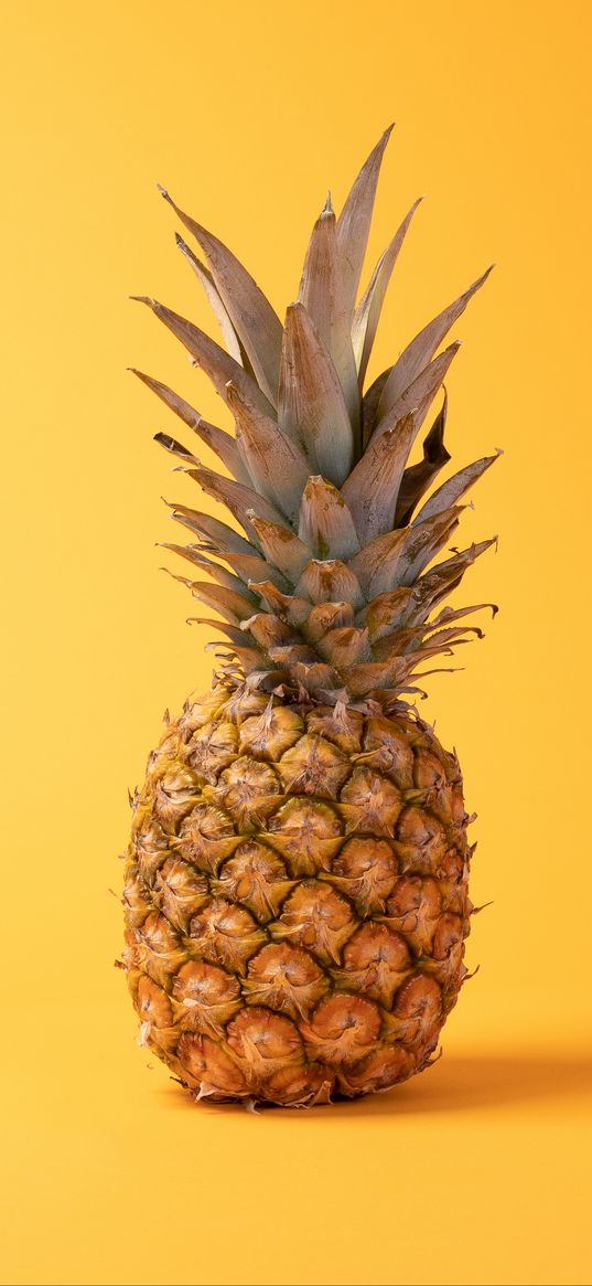 pineapple, fruit, yellow background