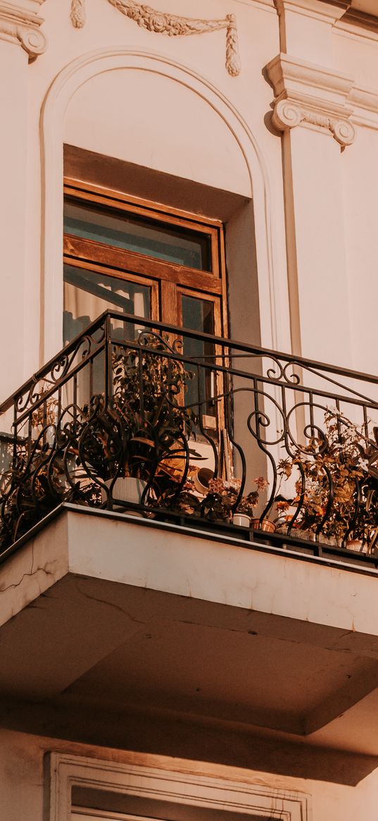 house, balcony, architecture, flowers, pots, sunlight