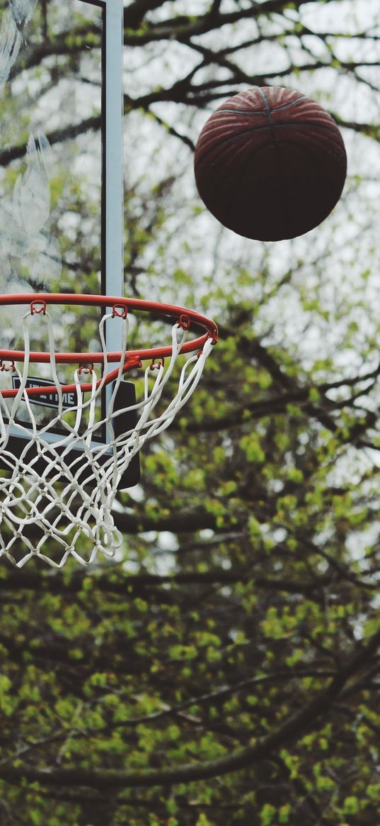 basketball stand, ball, basketball, trees, sport