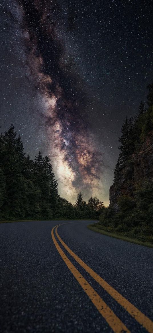 road, trees, hillside, forest, milky way, starry sky, night, nature, landscape, dark