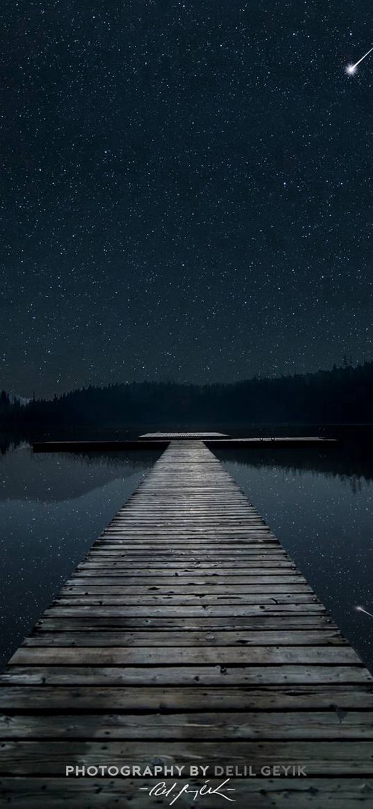 pier, lake, reflection, forest, starry sky, comet