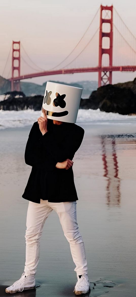 marshmallo, dj, mask, beach, bridge, waves