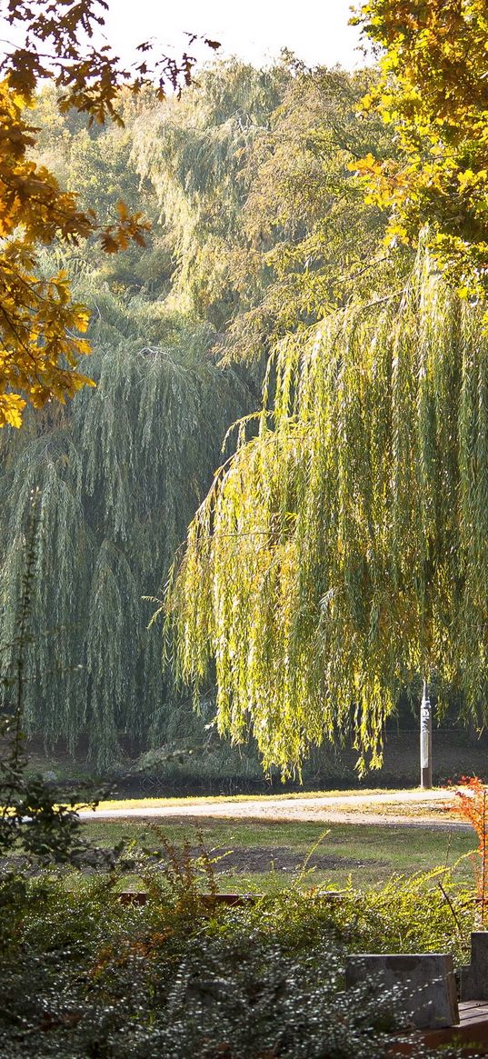 park, hungary, autumn, landscape